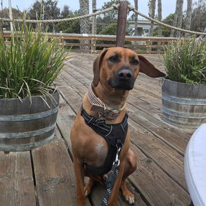 Meet your Posher, Lori